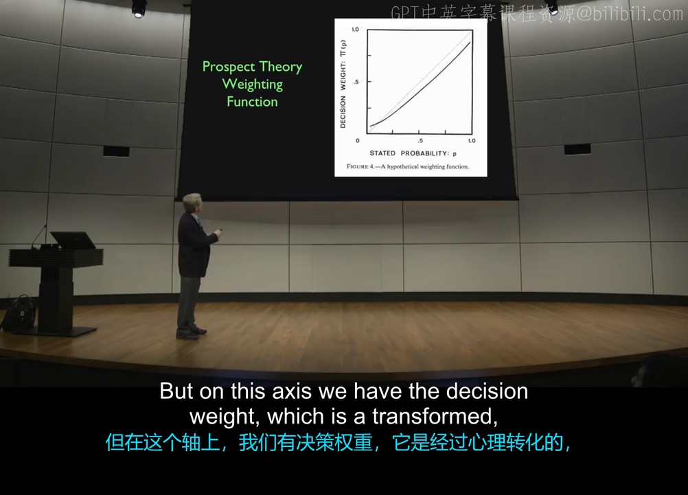Prospect Weighting Function